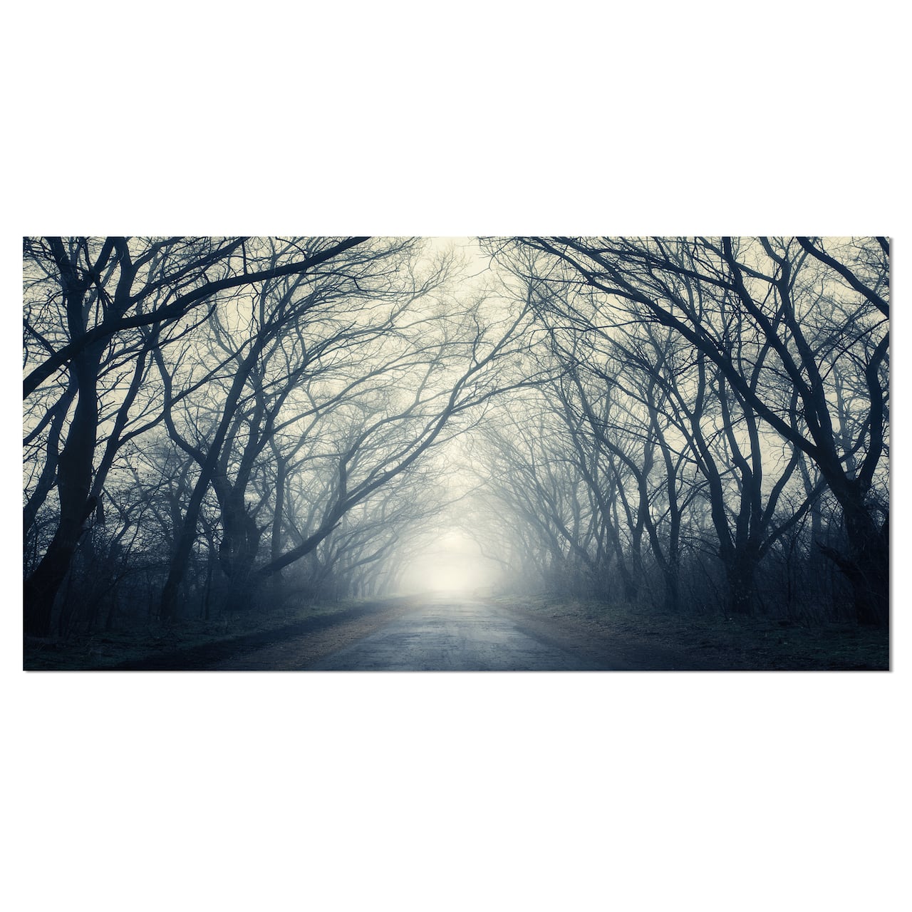 Designart - Dark Autumn Forest in Fog - Photography Canvas Art Print